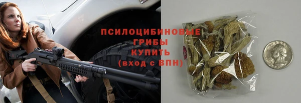 ешки Алзамай