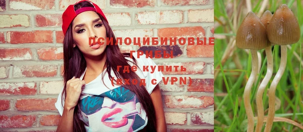 амф Абаза