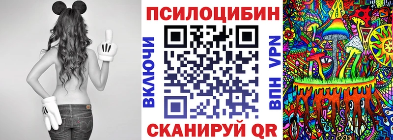 хочу наркоту  Черемхово  Псилоцибиновые грибы мицелий 